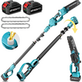 Cordless Pole Saw & Mini Chainsaw 2 in 1