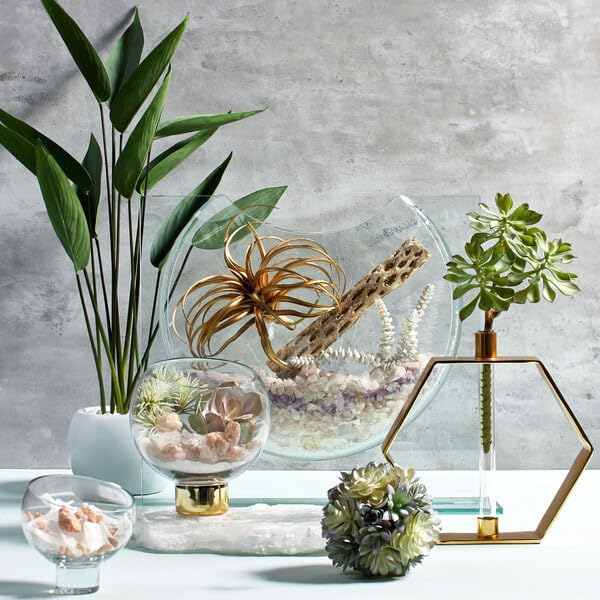 2 X Ellipse Decorative Vase (1 FREE)