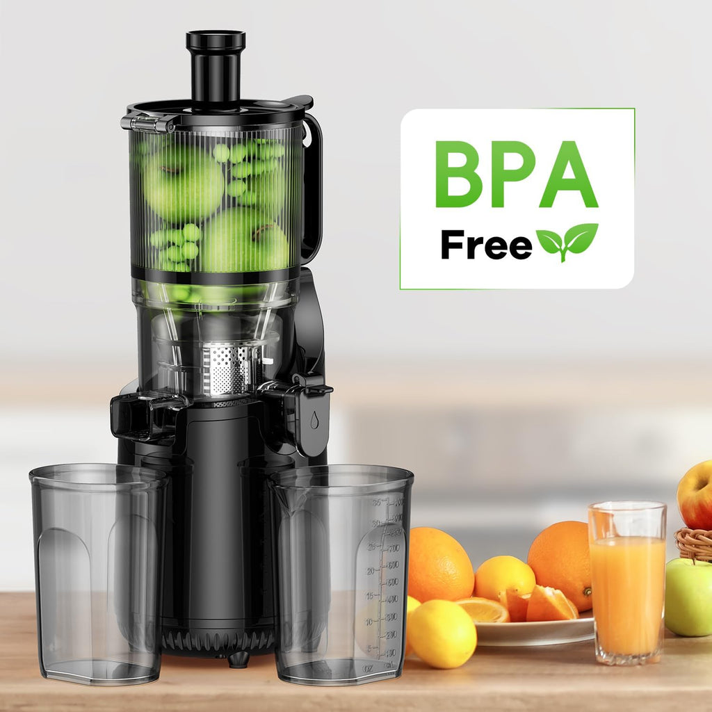 Cold Press Juicer EasyFruit + 10 Glass Bottles + Cleaning Kit